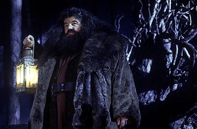 Hagrid (Robbie Coltrane)
